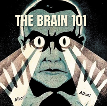 The Brain 101