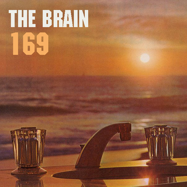 The Brain 169